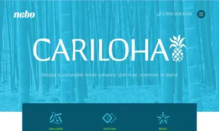 Preview of the Cariloha Case Study