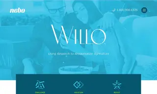 Preview of the Willo Case Study