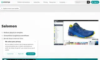 Preview of the Salomon Case Study