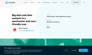 Preview of the Spicy Analytics Case Study