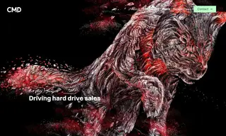 Preview of the Seagate Case Study