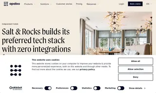 Preview of the Salt & Rocks Management and Licensing Company Case Study