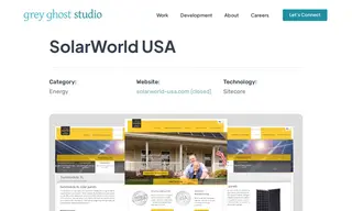 Preview of the SolarWorld USA Case Study