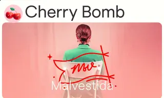 Preview of the Malvestida Case Study
