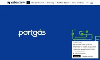 Preview of the Portgás Case Study