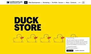 Preview of the Porto Duck Store Case Study
