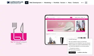 Preview of the Brincoloiça Case Study