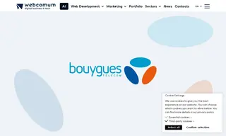 Preview of the Bouygues Telecom Case Study