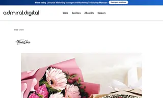 Preview of the Flower Chimp Case Study