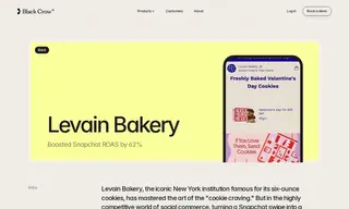 Preview of the Levain Bakery Case Study