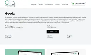 Preview of the GoodZ Case Study