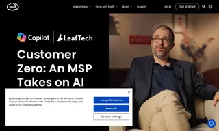 Preview of the LeafTech Consulting Case Study