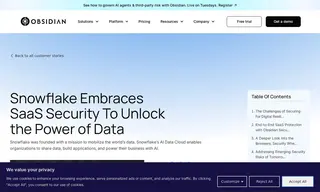 Preview of the Snowflake Case Study