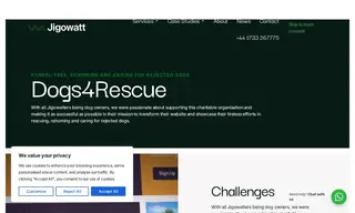 Preview of the Dogs4Rescue Case Study
