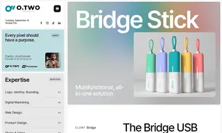 Preview of the Bridge Case Study
