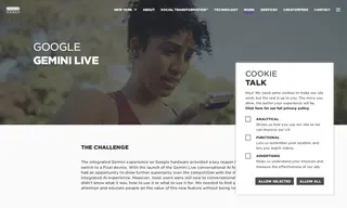 Preview of the Google Case Study