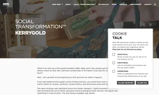 Preview of the Kerrygold Case Study