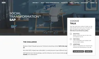 Preview of the SAP Case Study