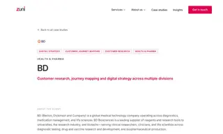 Preview of the BD (Becton, Dickinson and Company) Case Study