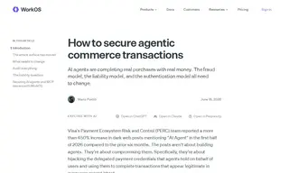 Preview of the Visa Case Study