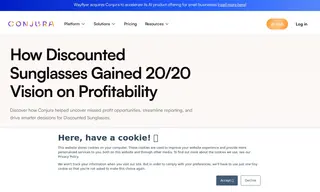 Preview of the Discounted Sunglasses Case Study