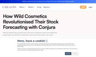 Preview of the Wild Cosmetics Case Study
