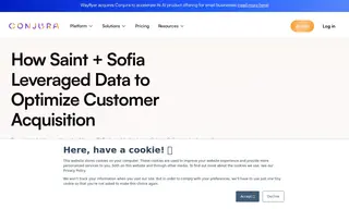 Preview of the Saint + Sofia Case Study