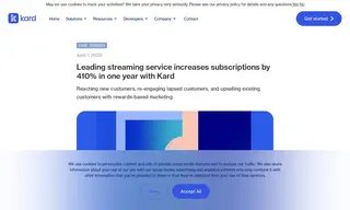 Preview of the Leading Streaming Service Case Study