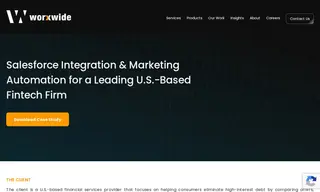 Preview of the Leading U.S.-Based Fintech Firm Case Study