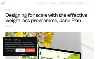 Preview of the Jane Plan Case Study
