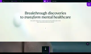 Preview of the Ieso Group Case Study