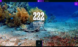Preview of the Sustainable Ocean Alliance Case Study