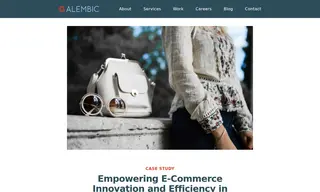 Preview of the E-commerce Global Fashion Brand Case Study