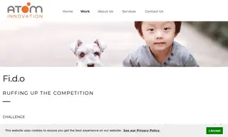 Preview of the The Hillman Group Case Study