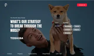Preview of the Toshiba Case Study