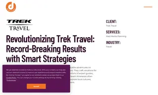 Preview of the Trek Travel Case Study