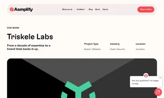 Preview of the Triskele Labs Case Study