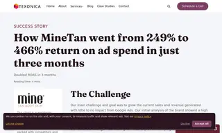 Preview of the MineTan Case Study