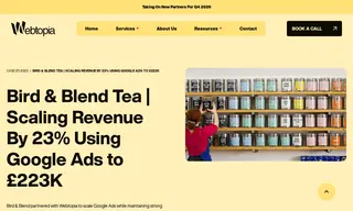 Preview of the Bird & Blend Tea Case Study
