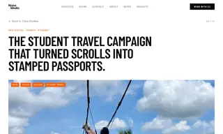 Preview of the Intro Travel Case Study