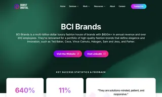 Preview of the BCI Brands Case Study