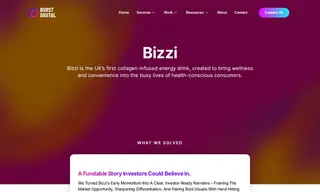 Preview of the Bizzi Case Study