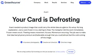 Preview of the Avant Case Study