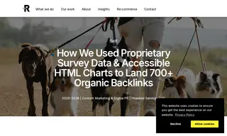 Preview of the Self Financial Case Study