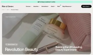 Preview of the Revolution Beauty Case Study