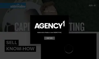 Preview of the Capitis Consulting Case Study