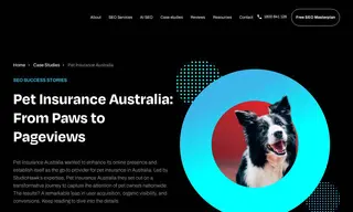 Preview of the Pet Insurance Australia Case Study
