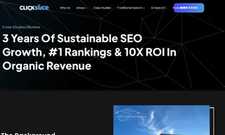 Preview of the Bluetex Case Study