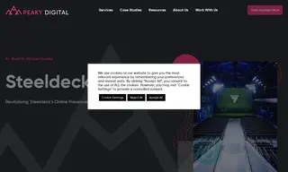 Preview of the SteelDeck Case Study