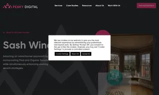 Preview of the Sash Windows Case Study